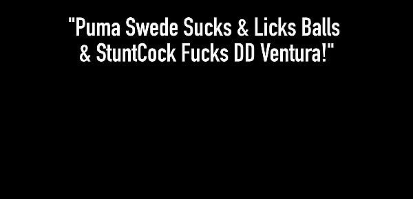  Puma Swede Sucks & Licks Balls & StuntCock Fucks DD Ventura!